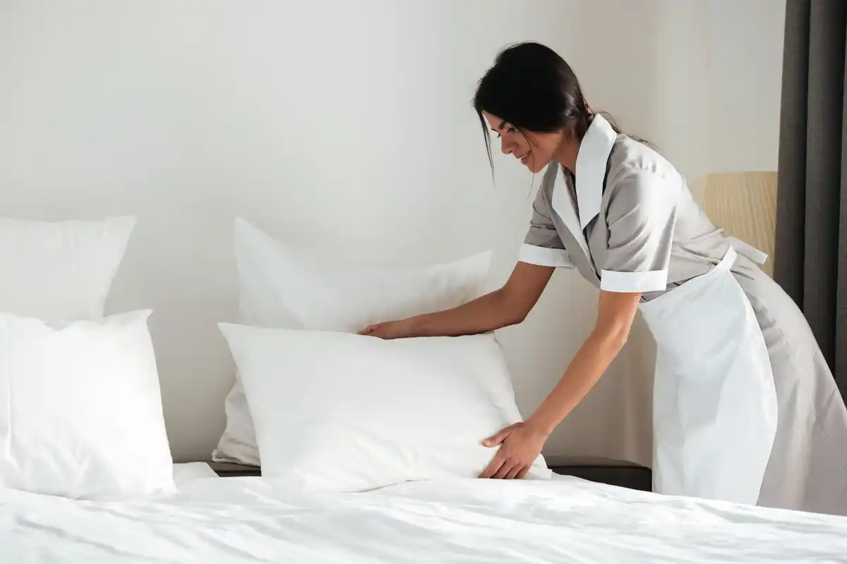 dutch home remedy clean mattress natural