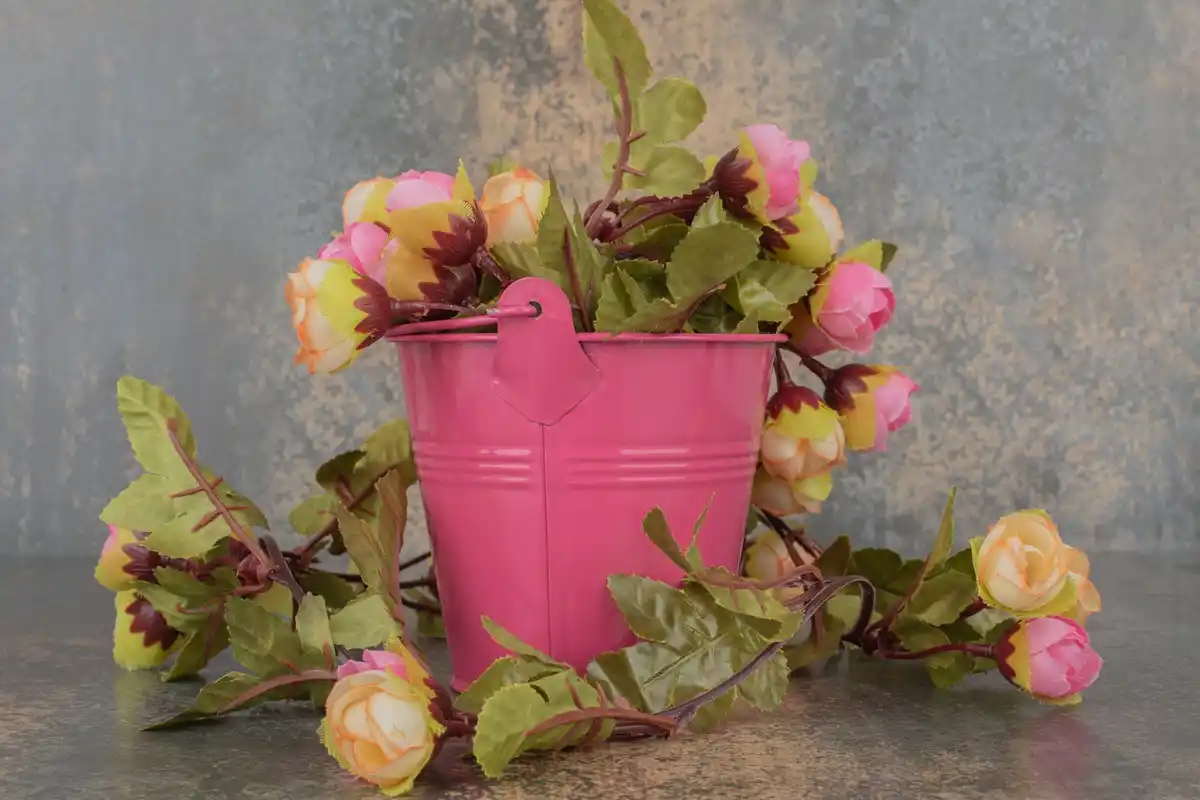 creative plant pot using old sneakers in dutch home