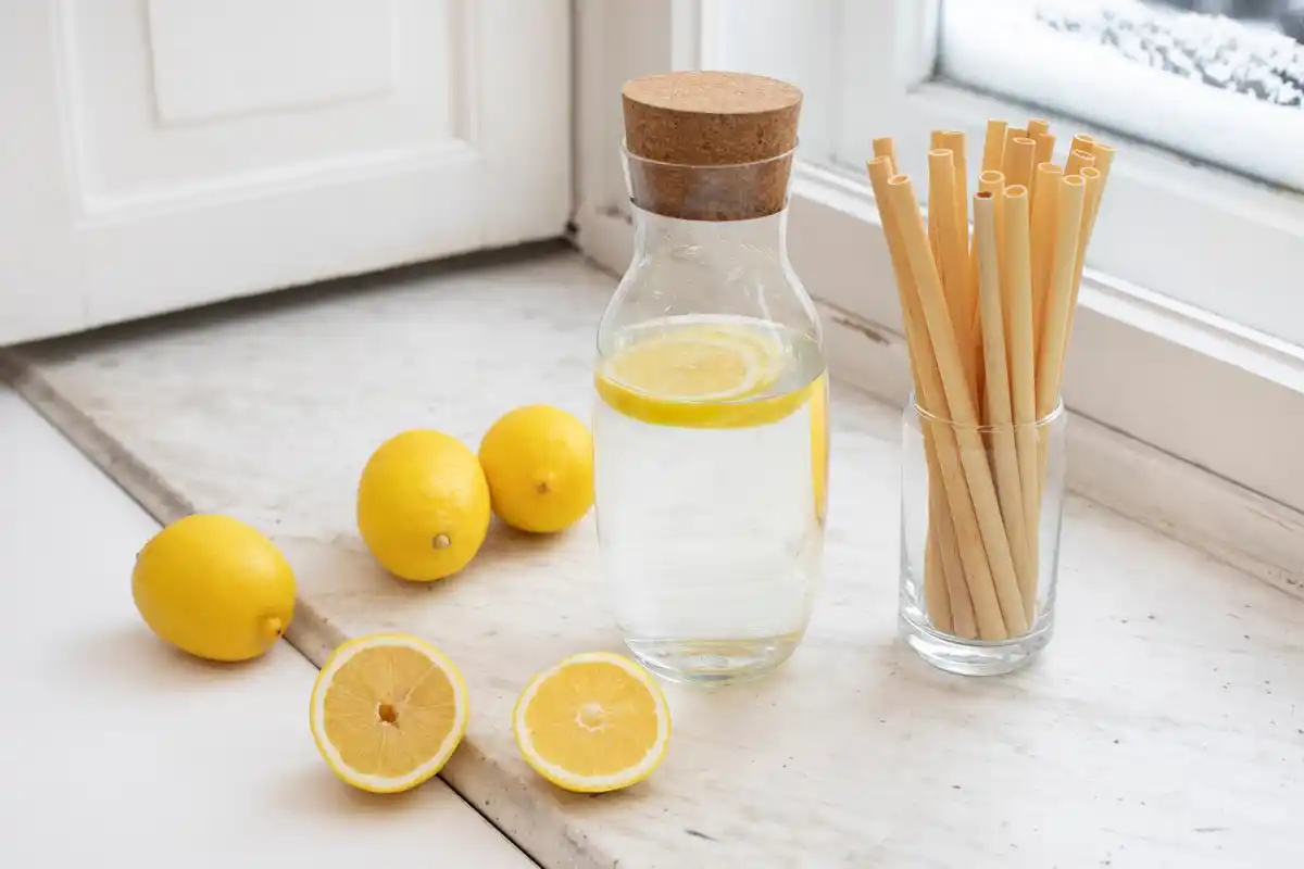 lemon and salt removing stains Dutch home