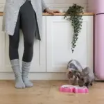 cleaning hack with old socks dutch house