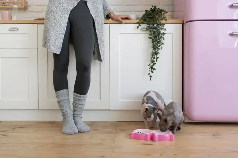 cleaning hack with old socks dutch house