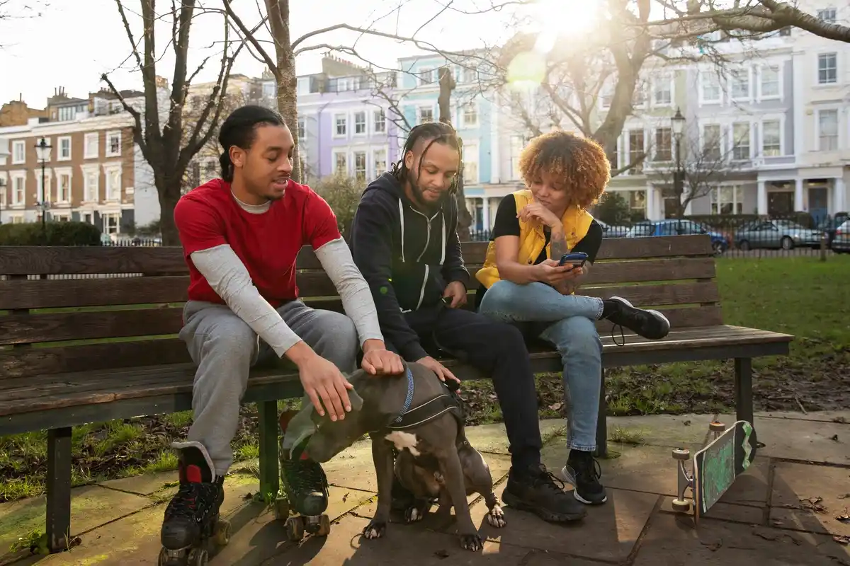 dutch people apologizing in daily life street netherlands