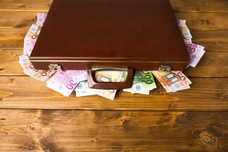 feng shui wallet euro cash organized