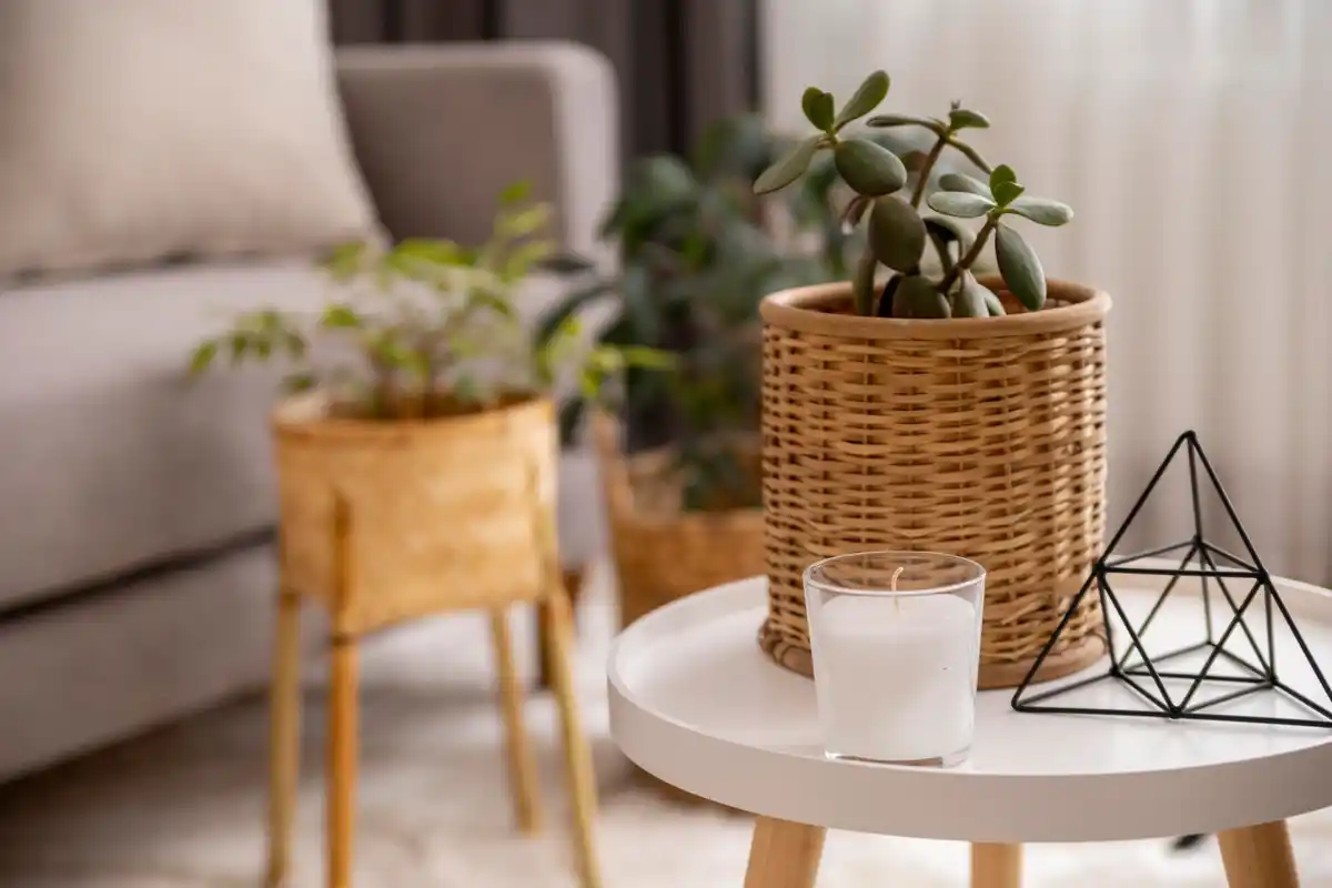 feng shui declutter living room dutch home minimal light plants