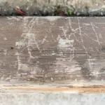 damaged wooden table after cleaning
