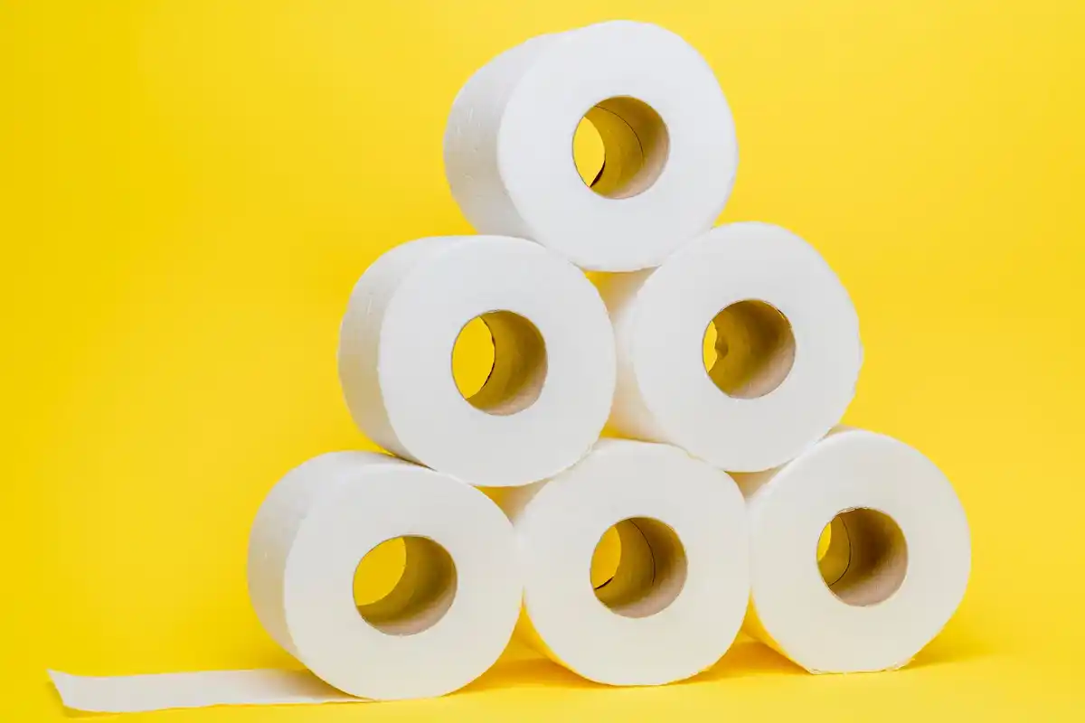 reuse toilet paper rolls home storage