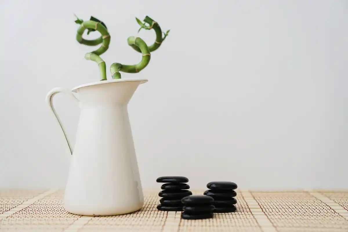 feng shui desk setup with plants minimalist modern