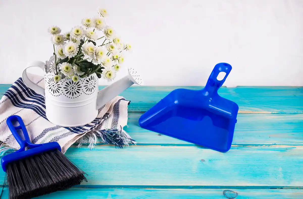 Modern Dutch cleaning tools in a sunny living room