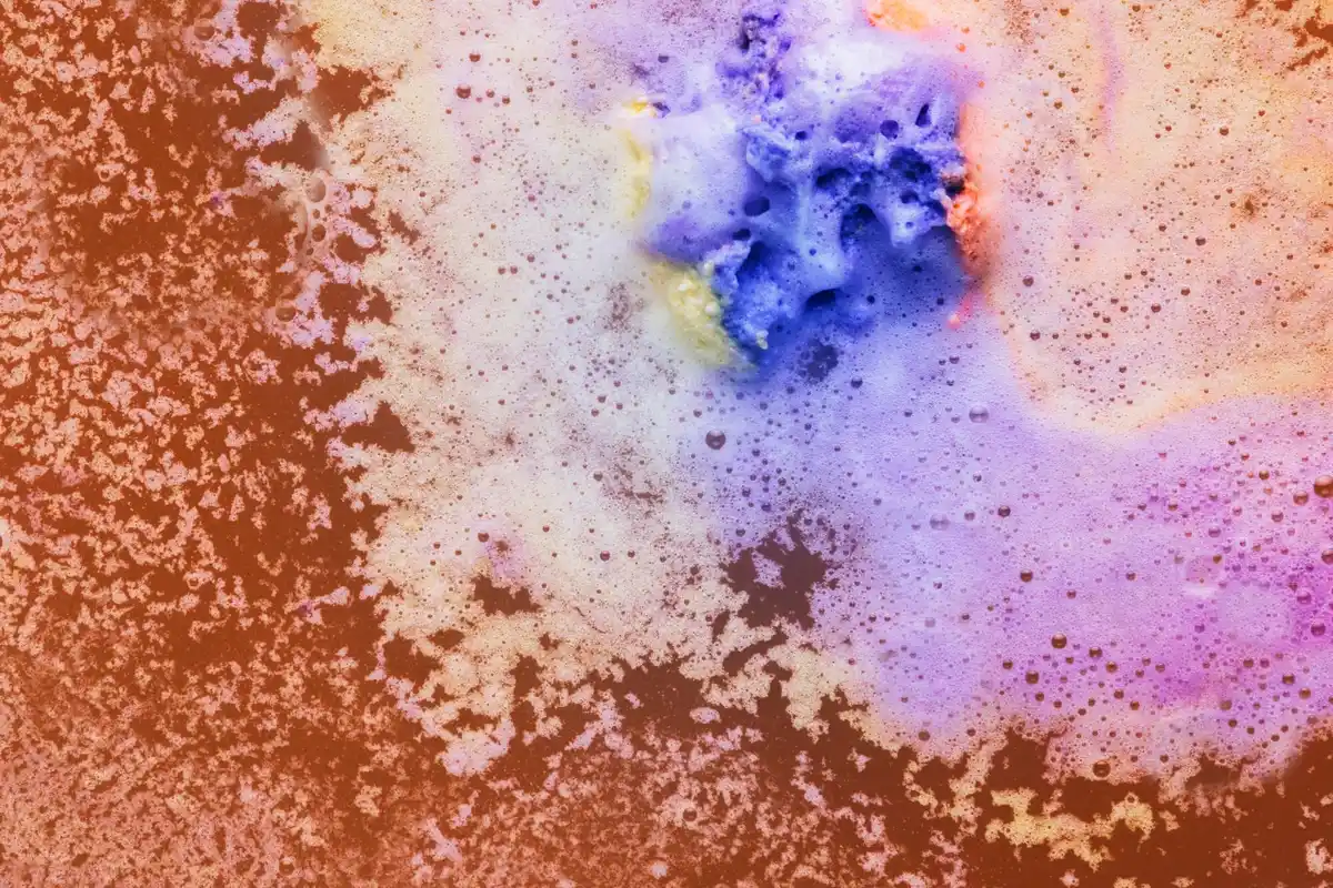 microscopic house dust mite in Dutch bedroom