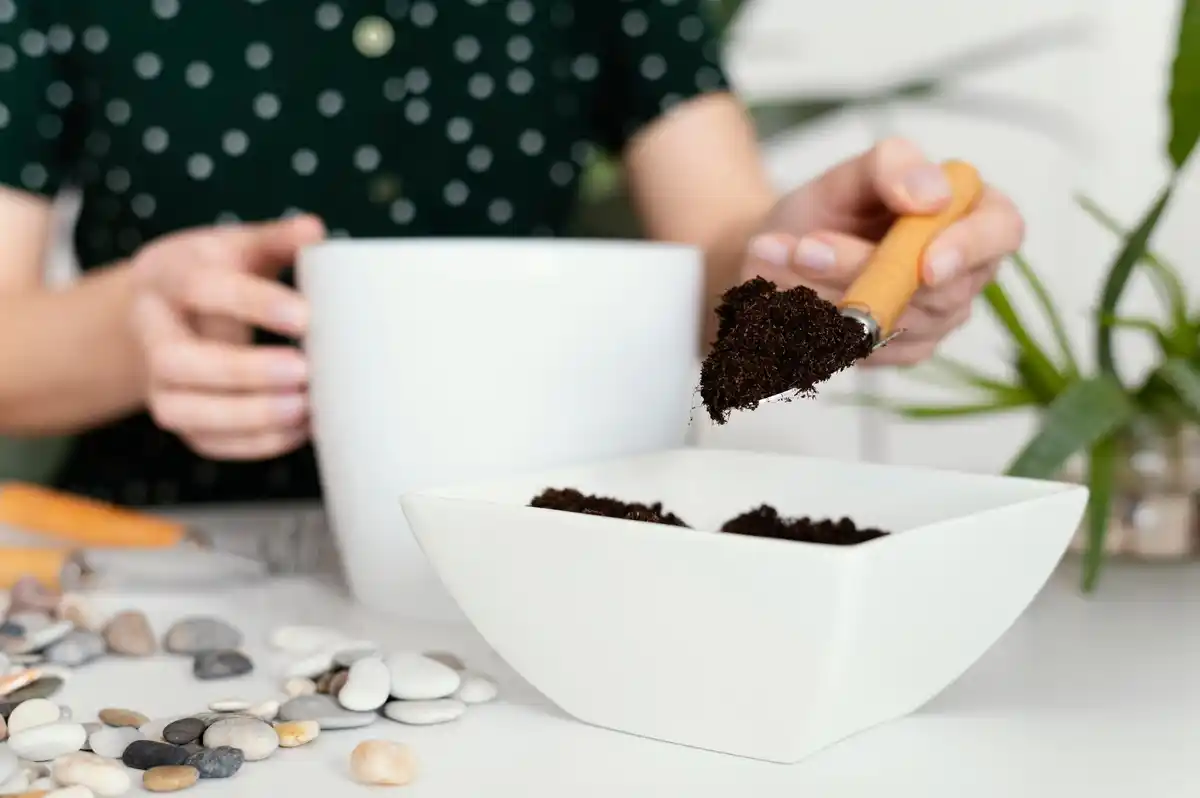homemade coffee scrub real bathroom