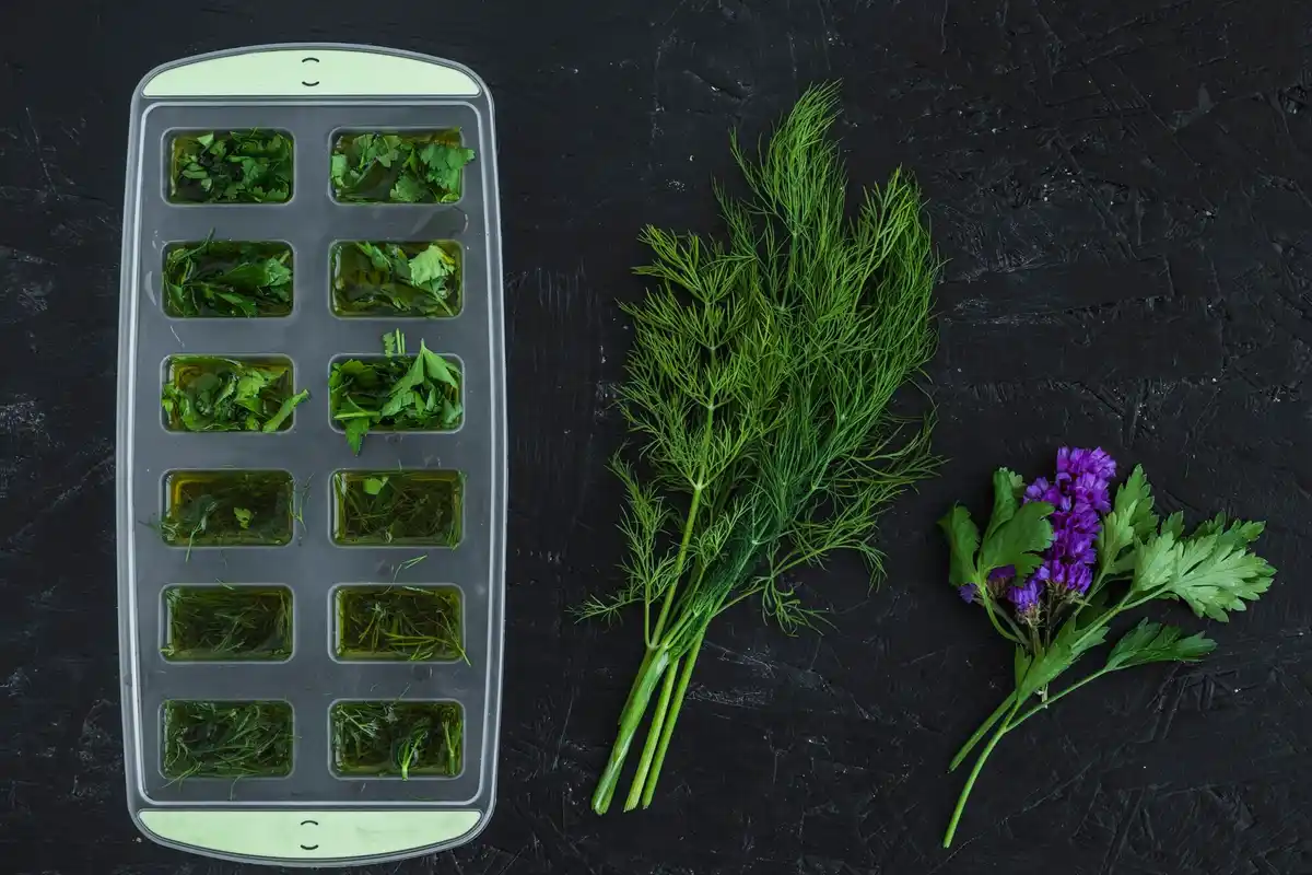 Delft kitchen herbs fresh peterselie eco storage