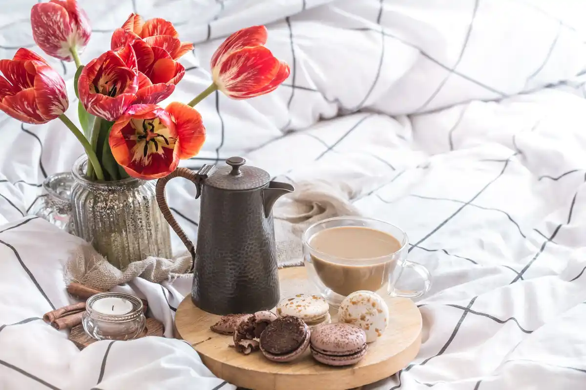 skincare products on wooden table winter morning Netherlands