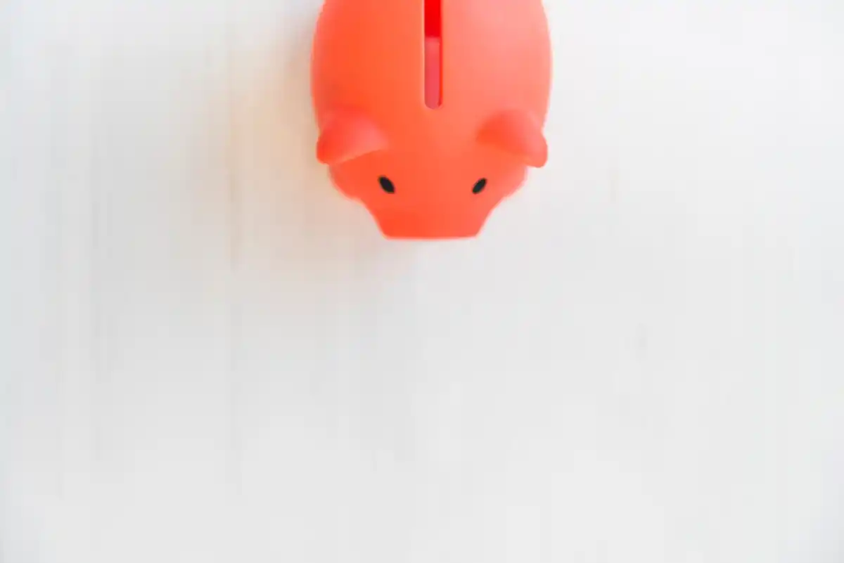 Dutch piggy bank empty coins
