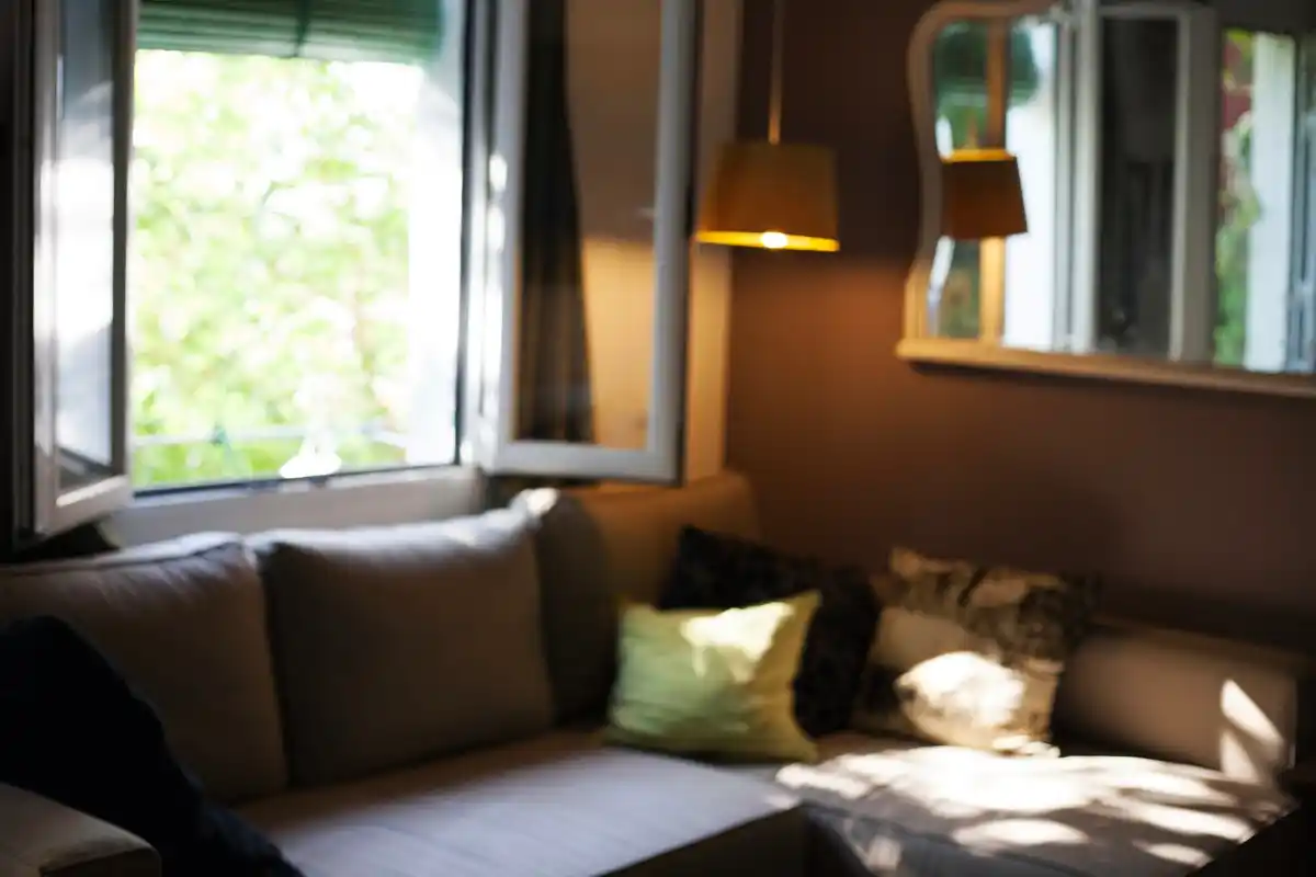 dutch minimalist home interior sunlit living room