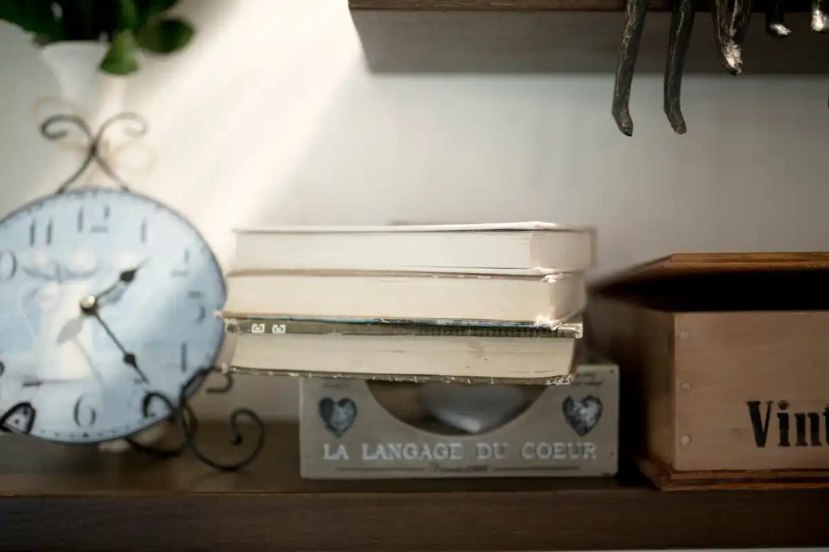 organized Dutch fridge interior