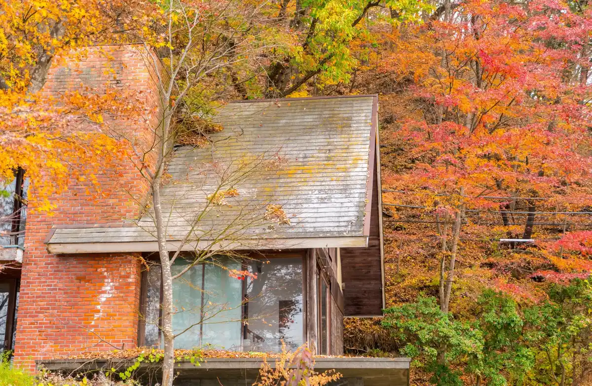 insulating gaps draught-proofing dutch house autumn details
