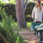 dutch backyard sustainable gardening transformation