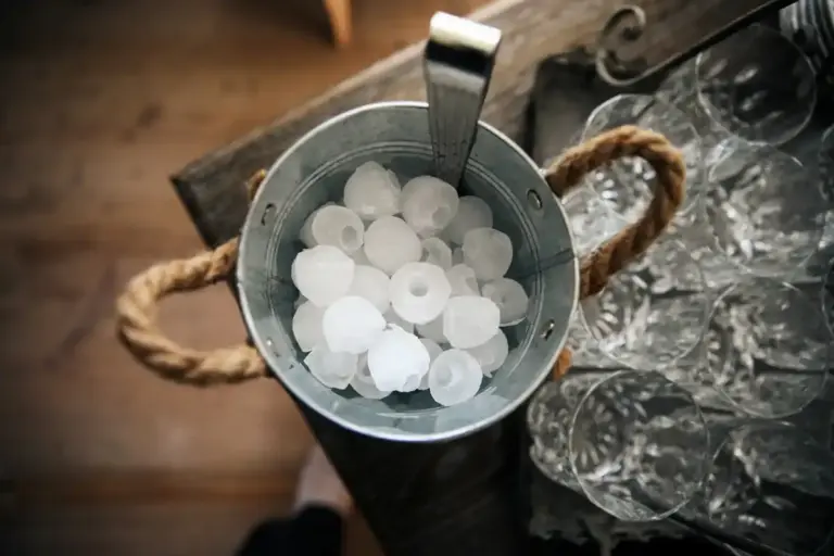 hotel ice bucket unusual uses