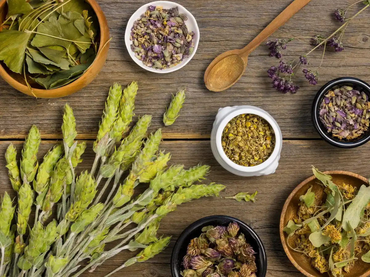 dutch homemade herbs on wooden kitchen table