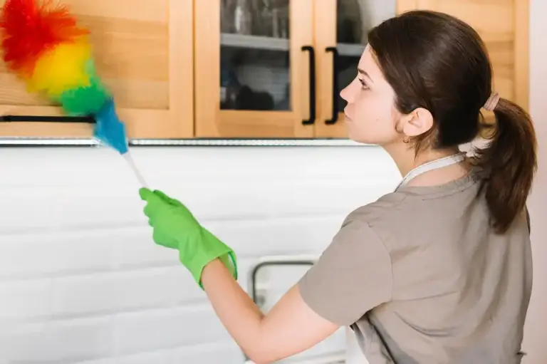 baking soda oven cleaning Dutch kitchen before after