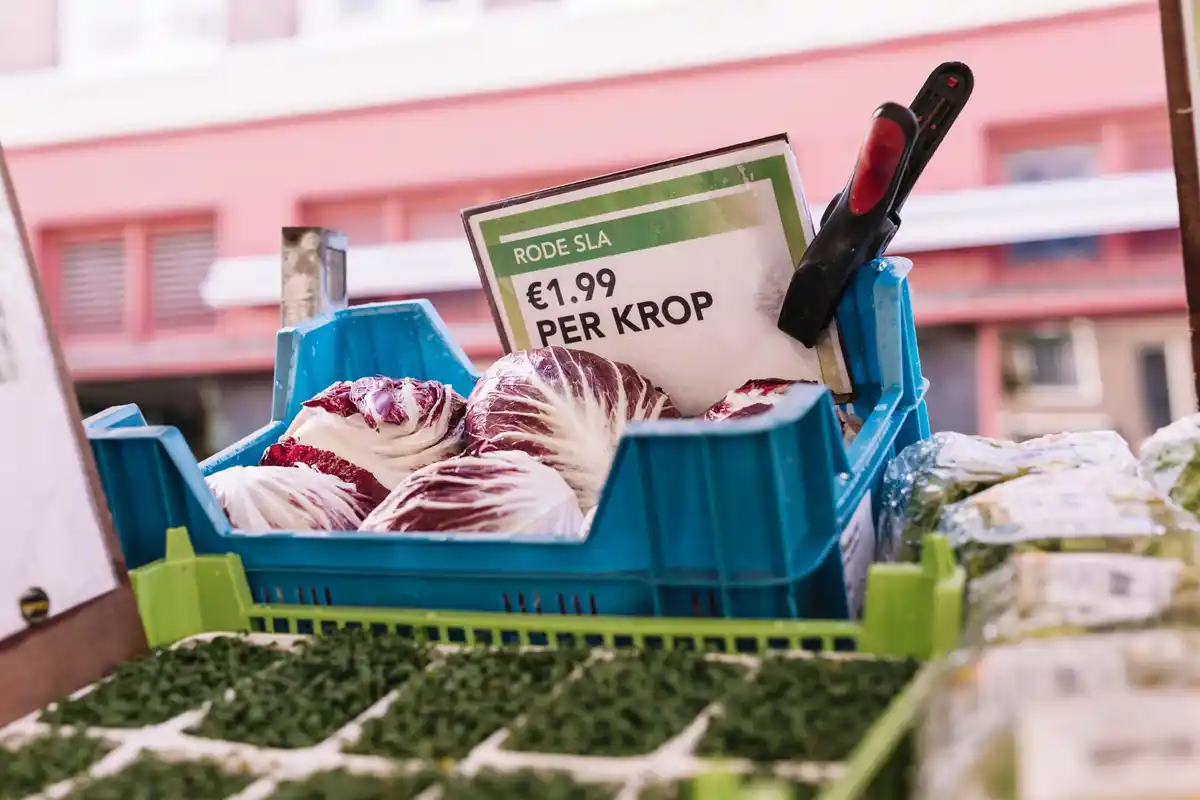 Close up Dutch shopping list next to full grocery basket