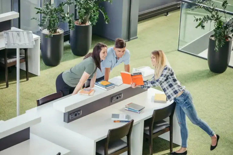 modern Dutch workspace focus training