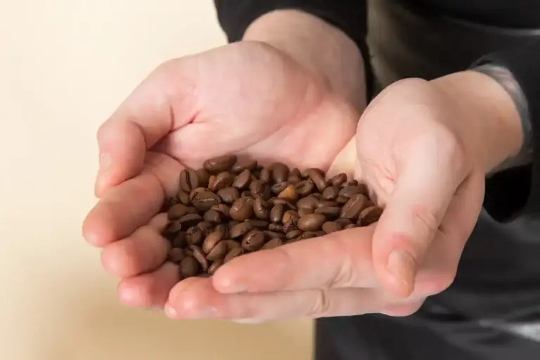 fresh coffee grounds in hands close up
