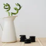feng shui creative desk setup with plant and pencil left
