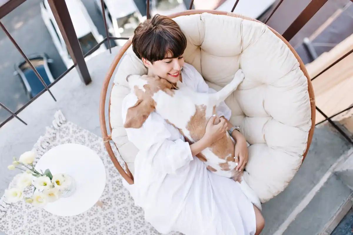 luxury hotel vs cozy boutique atmosphere