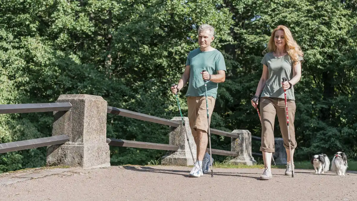 Dutch people urban walking healthy lifestyle spring