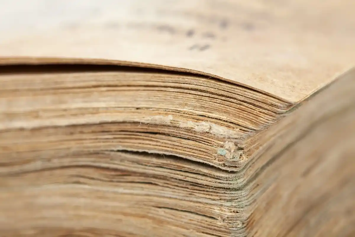 pile of old Dutch receipts on a wooden table