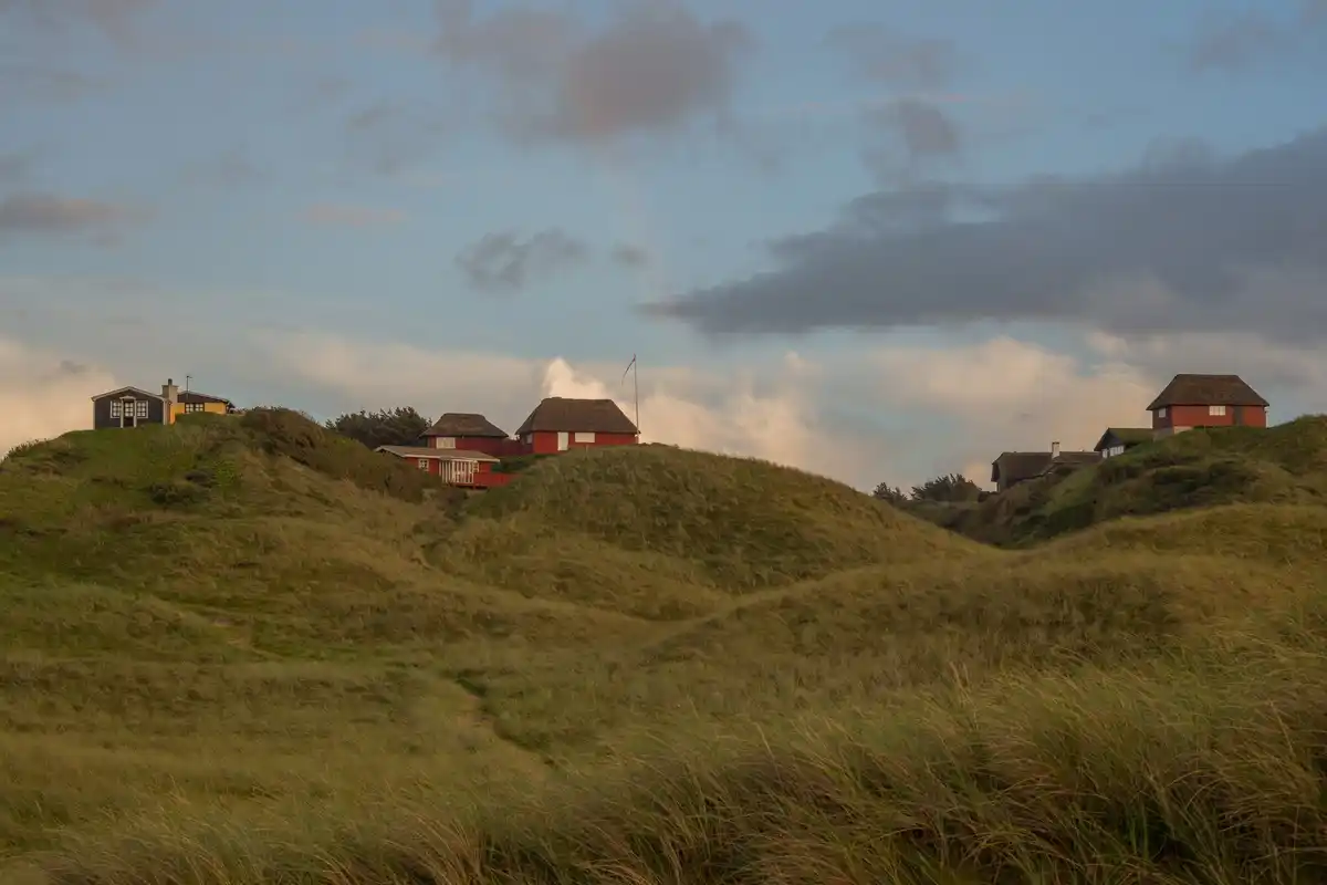 tiny house nature netherlands sunrise cozy