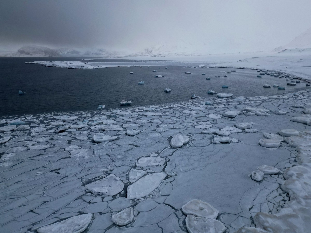 Arctisch gebied ervaart warmste jaar sinds 1900 terwijl de klimaatcrisis voortduurt