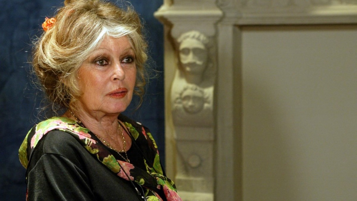 Brigitte Bardot: Van Franse filmster tot controversiële politieke figuur