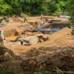 Oudste bewijs van bewuste vlammengebruik gevonden in Engeland