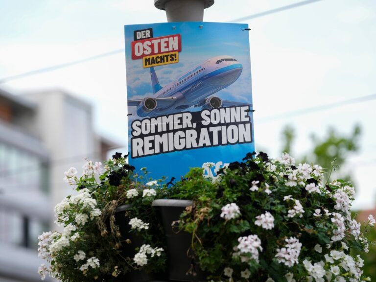 Wat is remigratie en hoe wordt het idee van de extreem-rechtse fringebeweging algemeen geaccepteerd?